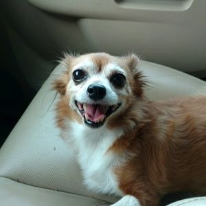 Meet your Posher, Elizabeth